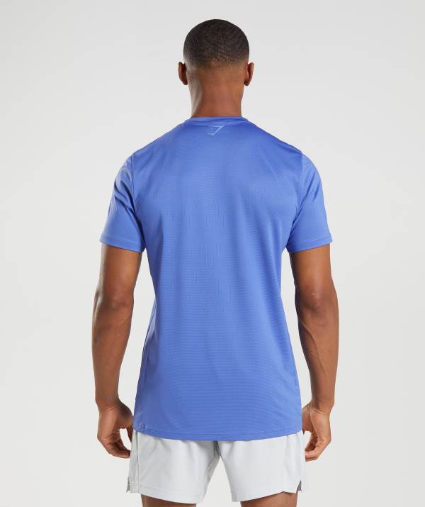 Panske Tricka Gymshark Sport Stripe Modre | SJ3780542